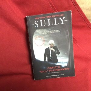 SULLY, heroic pilot story